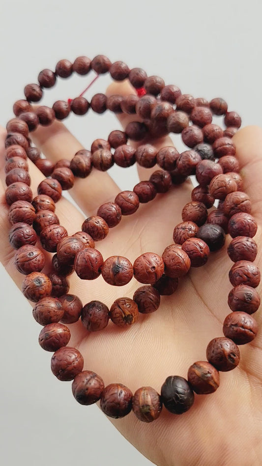 Vajrayana 9 mm Bodhi Prayer Beads, Natural Buddha Chitta 108 Beads Japa Mala