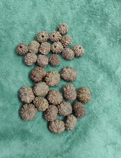 Ma Durga 9 Mukhi Rudraksha Mala, 54+1 Beads For NARRCI
