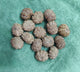 Ma Durga 9 Mukhi Rudraksha Mala, 54+1 Beads For NARRCI