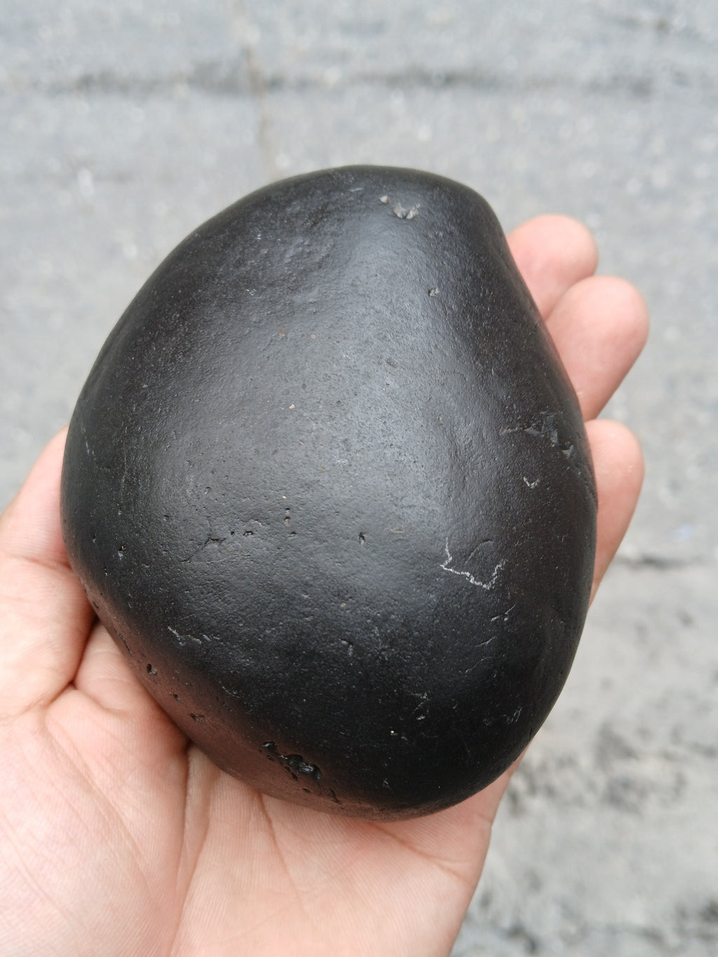 Large Cosmic Chakra Shaligram Stone: Sacred Energy Artifact