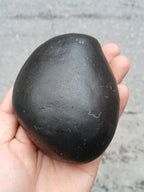 Large Cosmic Chakra Shaligram Stone: Sacred Energy Artifact