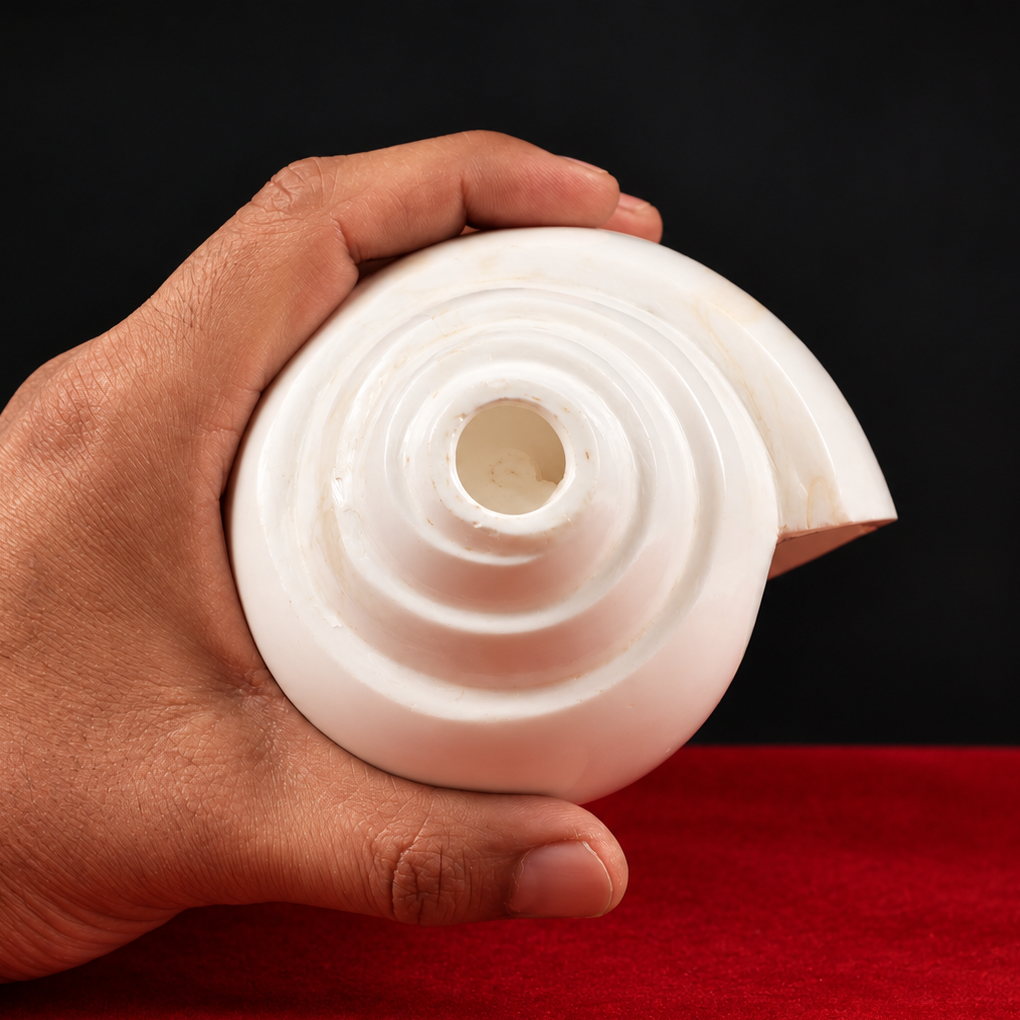 blowing conch shell sankha